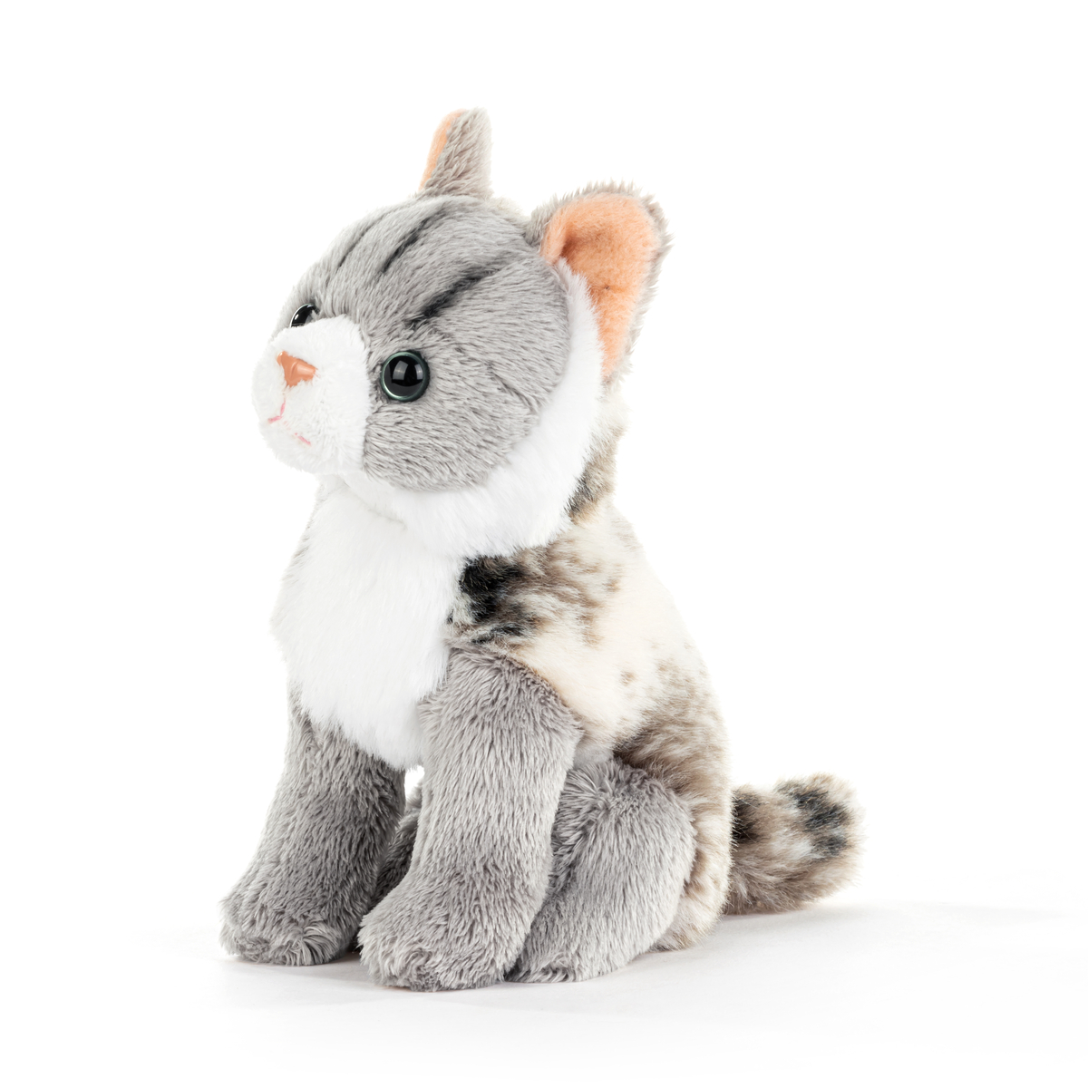 Gray Maine Coon Cat, Animalcraft